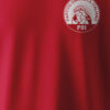 tsquirt-tshirt-partito-onanista-italiano-primo-rosso-cardinale-poi-masturbazione Dettaglio grafica Partito Onanista Italiano